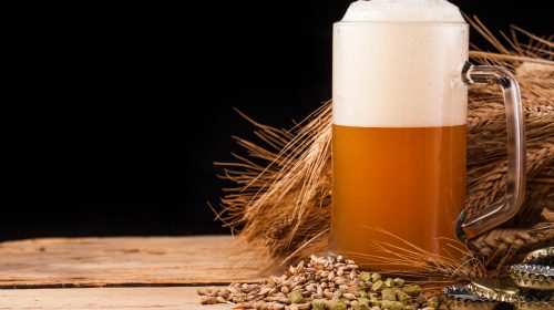 cervezas artesanales