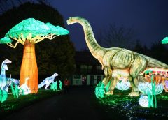 custom lantern festival supplier