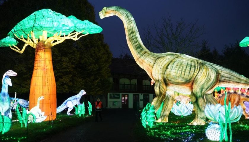 custom lantern festival supplier