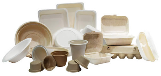 paper pulp packaging